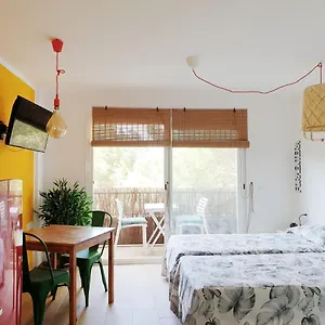 https://studio-pioner.balearic-islands.net