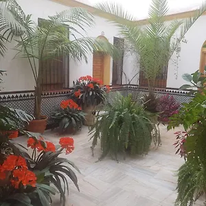 Apartment Casa Tipica Cordobesa Córdoba